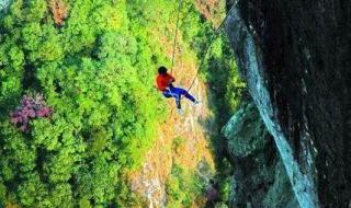 雁荡山是什么地貌 雁荡山特产